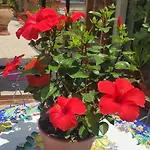 מלון Mediterranean Roof